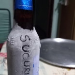 Suca's Beer Boisson