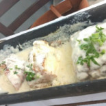 Gaivotas Nourriture