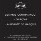 Gaivotas Logo