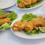 Gaivotas Nourriture