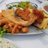 Gaivotas Nourriture