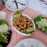 Gaivotas Nourriture