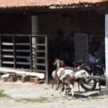 Piauí Exterior