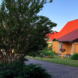 Aipim Exterior