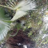 Petiscaria Da Pousada Extérieur