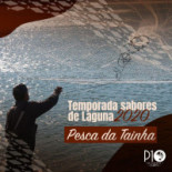 Ponto 10 Carta