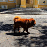 Do MaurÍcio Exterior