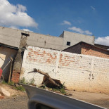 Pizzaria E Hospedagem Do Pancho Extérieur