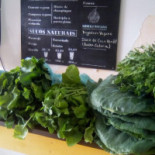Pallet Gourmet Carte
