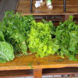 Pallet Gourmet Nourriture