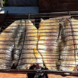 Coutinho Pesca E Nourriture