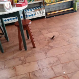 Panificadora Pão Quente Dentro
