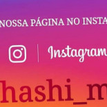 Hashi Mix Logo