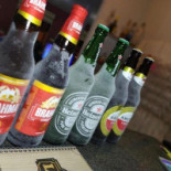 Do Leitão Boisson