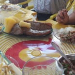 Pinguins Comida