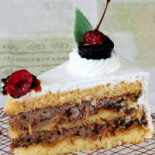 Damay Piçarras Nourriture