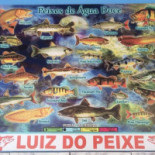 Luiz Do Peixe Carta
