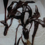 Sorveteria Flor De Lis Boisson