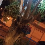 Fazendinha E Tal À l'intérieur