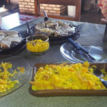 Lamas Comida