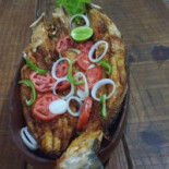 Lamas Comida