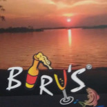 Birus E Petiscaria Logo