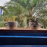 Café Da Praça Boisson