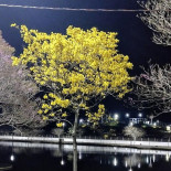 E Choperia Lago Yara Extérieur