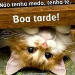 Baco Sabores Do Peixe Extérieur