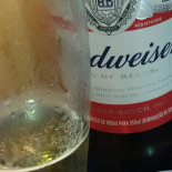 Pizzaria Do Mario Boisson