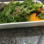 Com-sciencia Vegetarian Comida