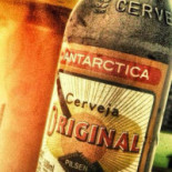 Bodeguero Carte