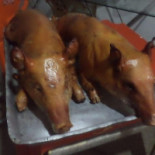 Cantina Corporation Comida
