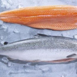 Cantinho Do Peixe Boisson