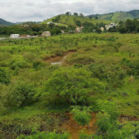 Bambui Extérieur