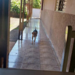 Pedagio Lanches Dentro