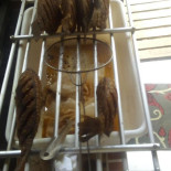 Nildo Do Peixe Boisson