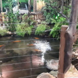 Tribo Do Peixe E E Choperia Extérieur