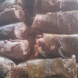 Tribo Do Peixe E E Choperia Boisson