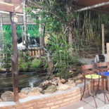 Tribo Do Peixe E E Choperia Extérieur