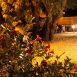 Intervinhos Pizzaria Exterior