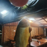 E Peixaria Só Peixe Bebida