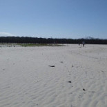 Barra Do Açaí Extérieur