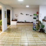 Katavento Pousada E Kitepoint: Pousada, Quartos, Em Cumbuco, Caucaia Ce À l'intérieur