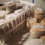 Parada Frinhani À l'intérieur