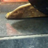 Top Pizza Boisson