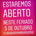 Flash Burg Logo
