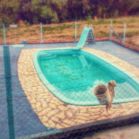 Pesque E Pague Do Tchê Exterior