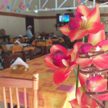 Rancho Dos Ypês Boisson