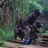 Bambu Extérieur
